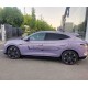 Denza N7 EV, пробіг 8 тисяч км